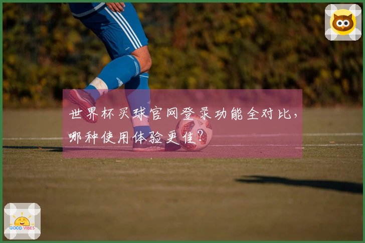 世界杯买球官网登录功能全对比，哪种使用体验更佳？