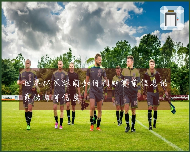 世界杯买球前如何判断赛前信息的真伪与可信度