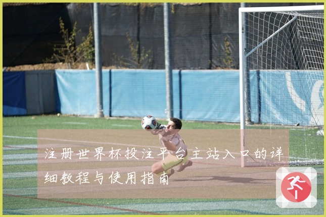 注册世界杯投注平台主站入口的详细教程与使用指南