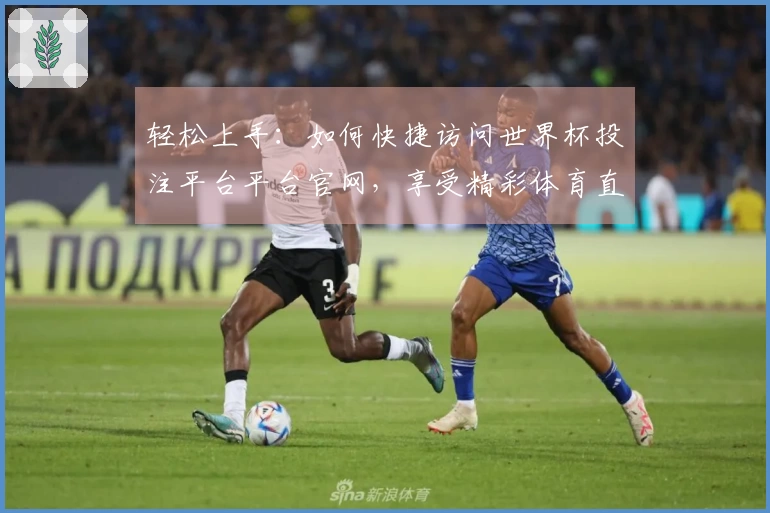 轻松上手：如何快捷访问世界杯投注平台平台官网，享受精彩体育直播体验
