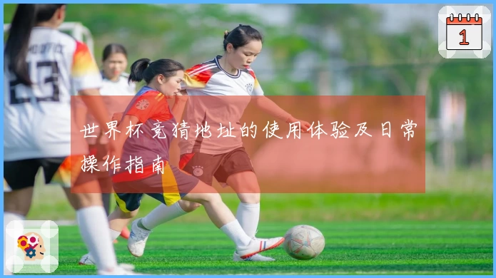 世界杯竞猜地址的使用体验及日常操作指南