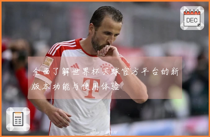 全面了解世界杯买球官方平台的新版本功能与使用体验