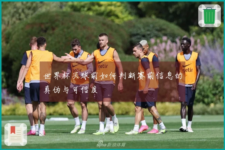 世界杯买球前如何判断赛前信息的真伪与可信度