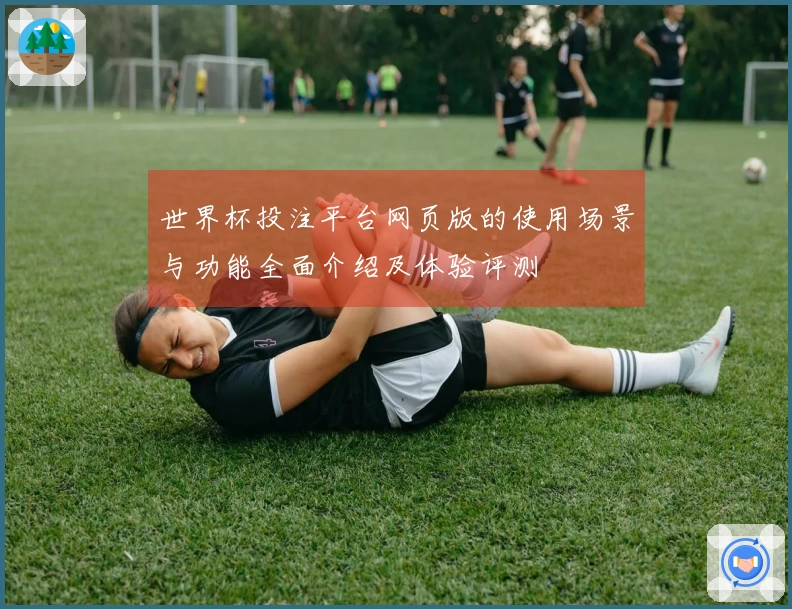 世界杯投注平台网页版的使用场景与功能全面介绍及体验评测
