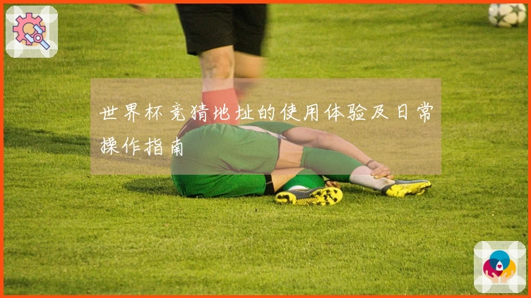 世界杯竞猜地址的使用体验及日常操作指南