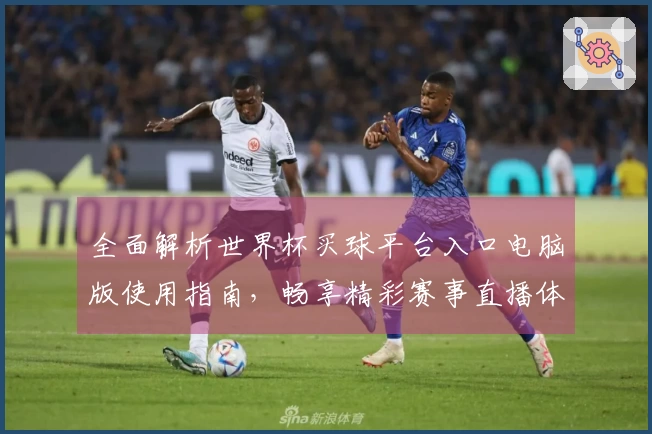 全面解析世界杯买球平台入口电脑版使用指南，畅享精彩赛事直播体验