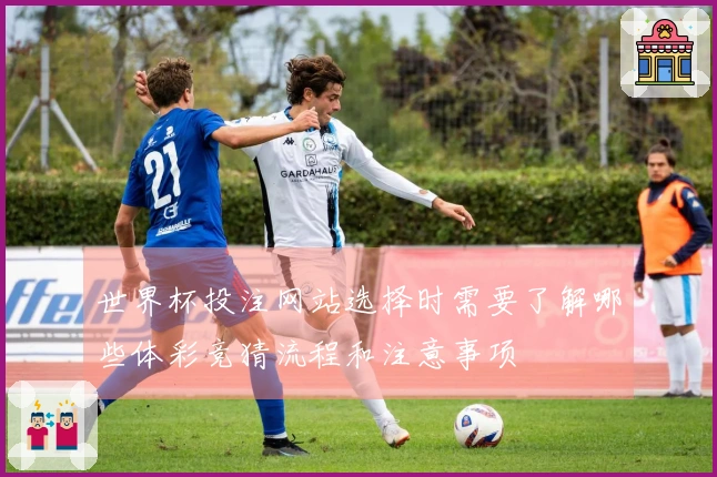 世界杯投注网站选择时需要了解哪些体彩竞猜流程和注意事项