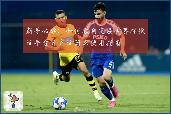 新手必读：如何顺利完成世界杯投注平台开户注册及使用指南