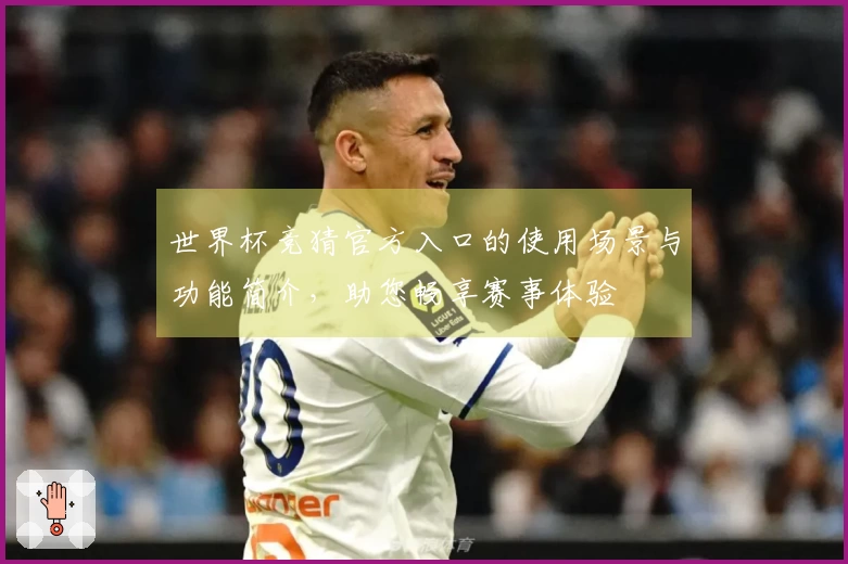 世界杯竞猜官方入口的使用场景与功能简介，助您畅享赛事体验