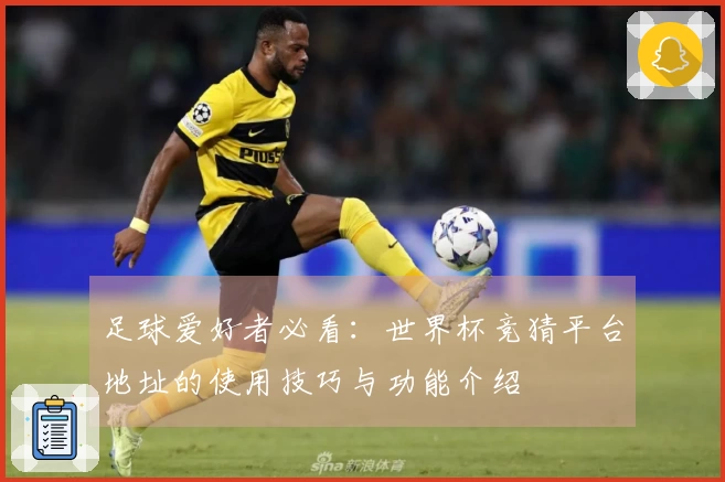 足球爱好者必看：世界杯竞猜平台地址的使用技巧与功能介绍