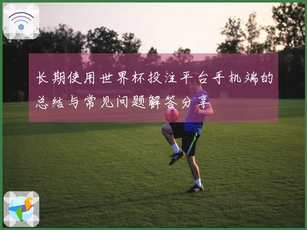 长期使用世界杯投注平台手机端的总结与常见问题解答分享
