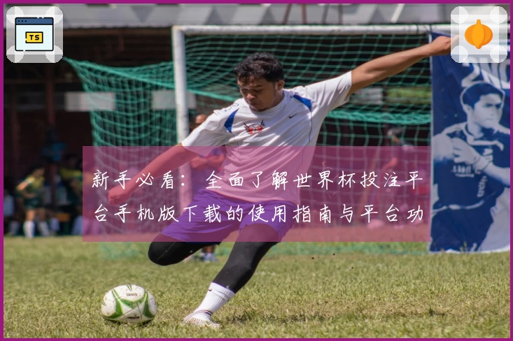 新手必看：全面了解世界杯投注平台手机版下载的使用指南与平台功能介绍
