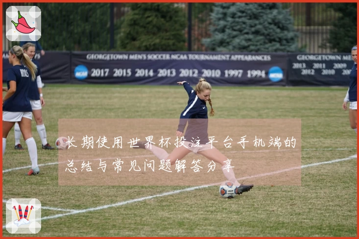 长期使用世界杯投注平台手机端的总结与常见问题解答分享